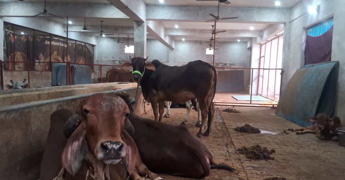 bhaktmaal gaushala (3) | Bada Bhaktmaal Ashram